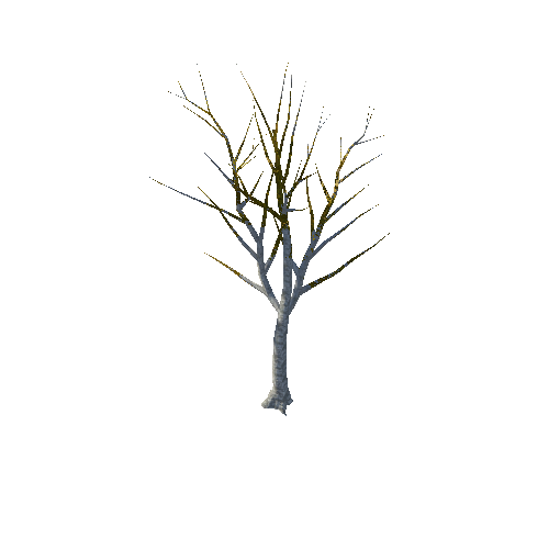 Tree 5_1